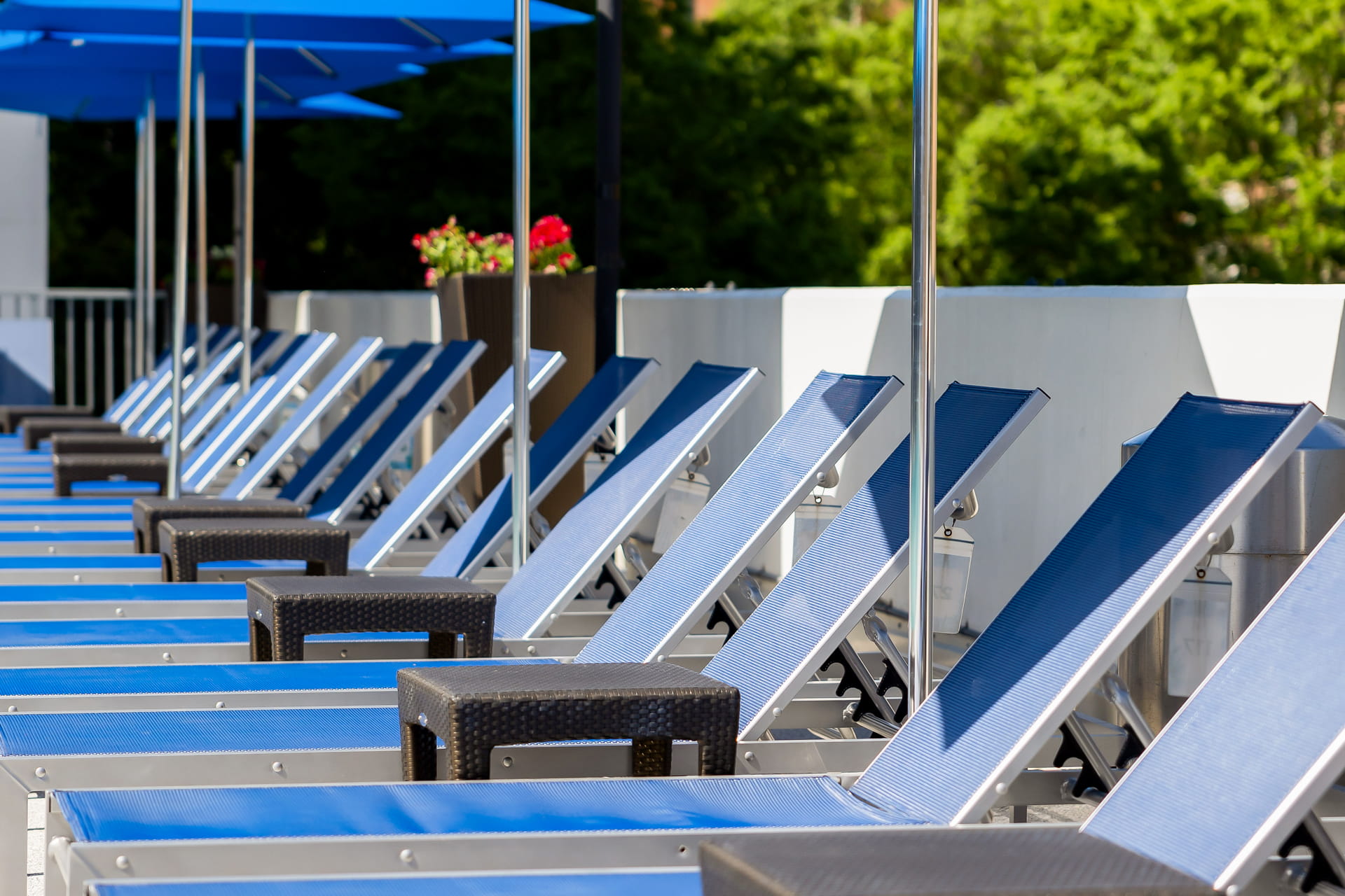 Pool loungers